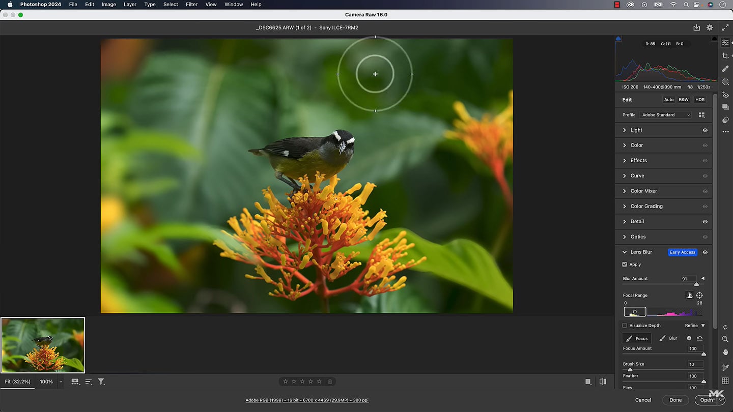 Adobe Camera Raw