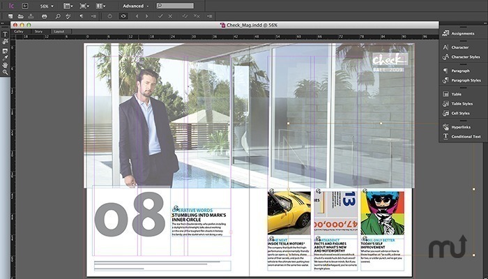 Adobe InCopy