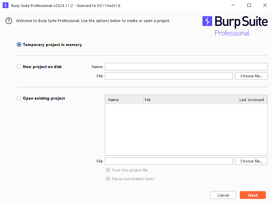 Burp Suite Professional